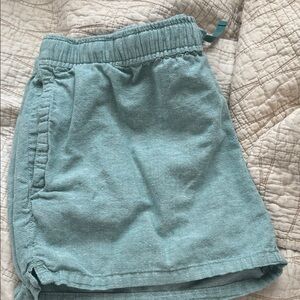 Patagonia Women's Teal Shorts